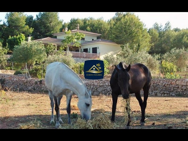 Video thumbnail for 🐎 VENTA Finca Mediterránea con establo para Caballos en Javea Xabia Costa Blanca | 1.7M/€ • 19.000m2