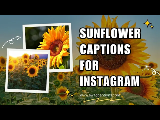 Video thumbnail for Sunflower Captions for Instagram