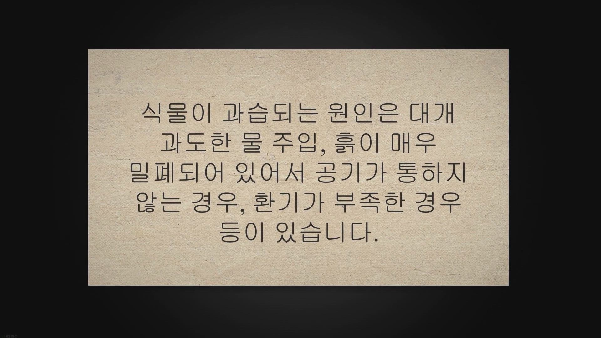 Video thumbnail for 죽어가는 뿌리 썩은 식물 살리기 노하우 공개해요!