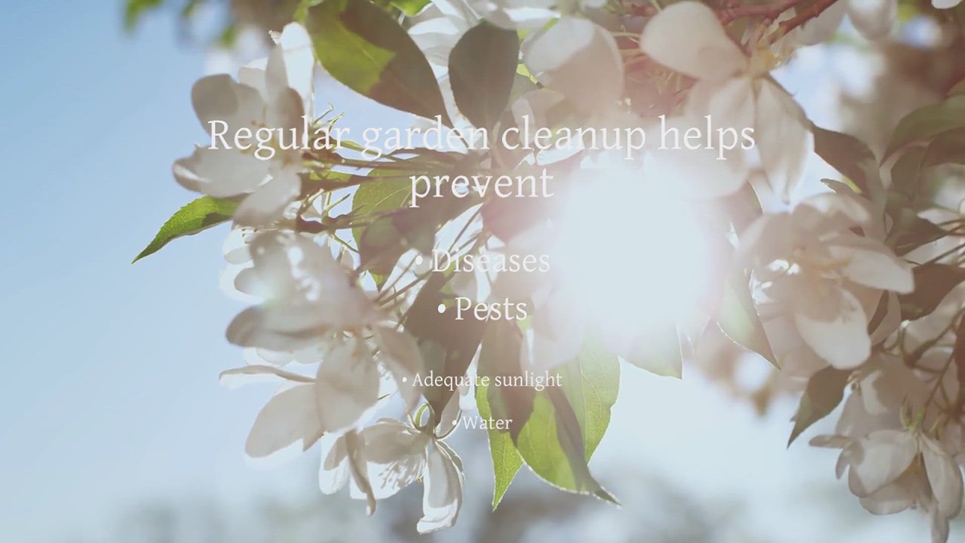 'Video thumbnail for Garden Cleanup Guide'
