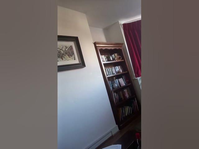 Video thumbnail for 7 November 2025