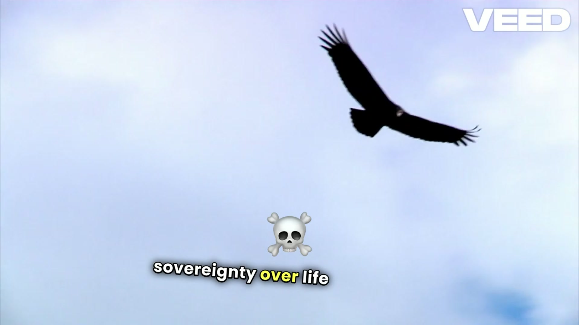 'Video thumbnail for Discover 20 Biblical Vulture Meanings!'