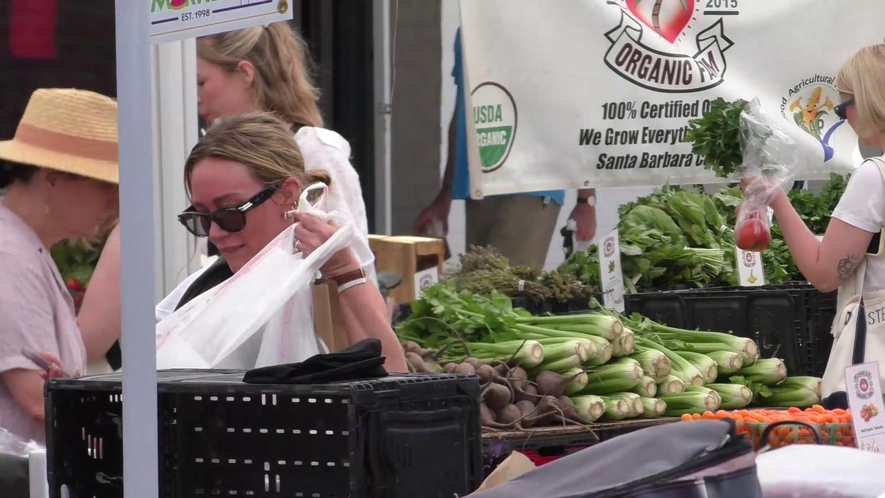 Video thumbnail for RAW Video: Hilary Duff Shopping At The Farmers Market In Studio City.