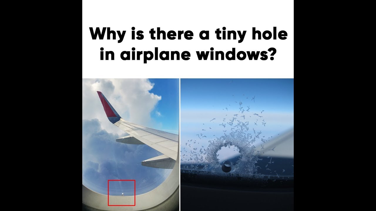 Video thumbnail for 10 Interesting Facts You're too Lazy to Google Pt. 2