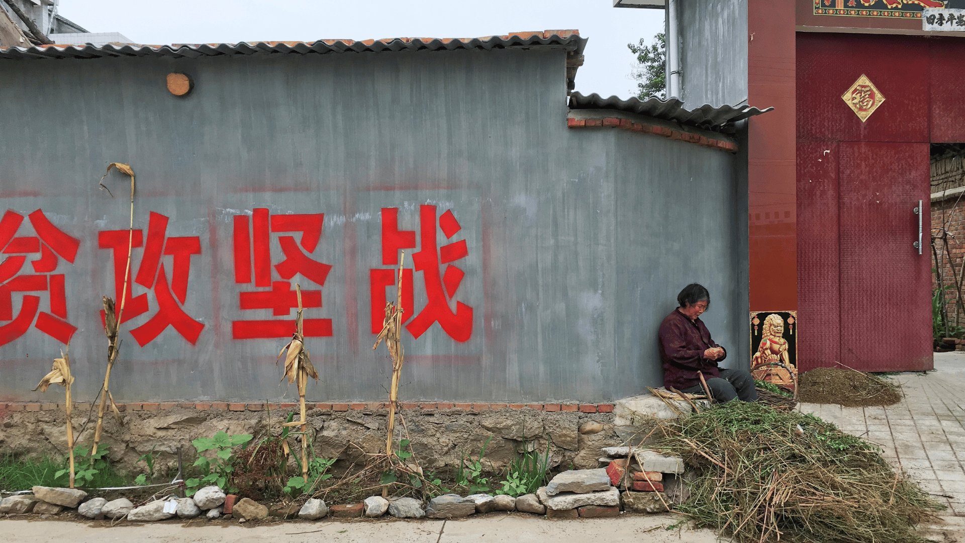 Video thumbnail for How solar panels helped one Chinese farmer escape extreme poverty