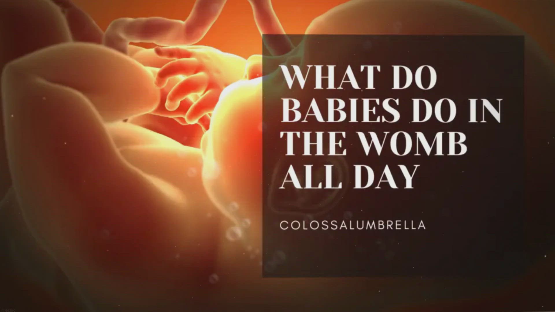 Video thumbnail for What Do Babies Do in the Womb All Day for 9 months