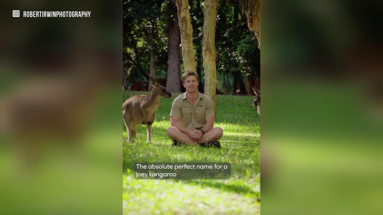 Video thumbnail for Princess Catherine, Prince William and children name baby kangaroo at Australia Zoo