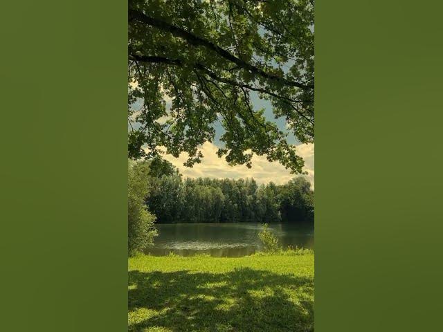 Video thumbnail for #nature #explorepage #nature #trending