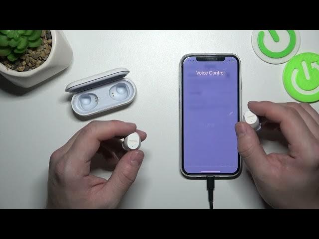 Video thumbnail for Unlock Hands-Free Convenience: Voice Assistant Setup for Tonsil T45 Tutorial!