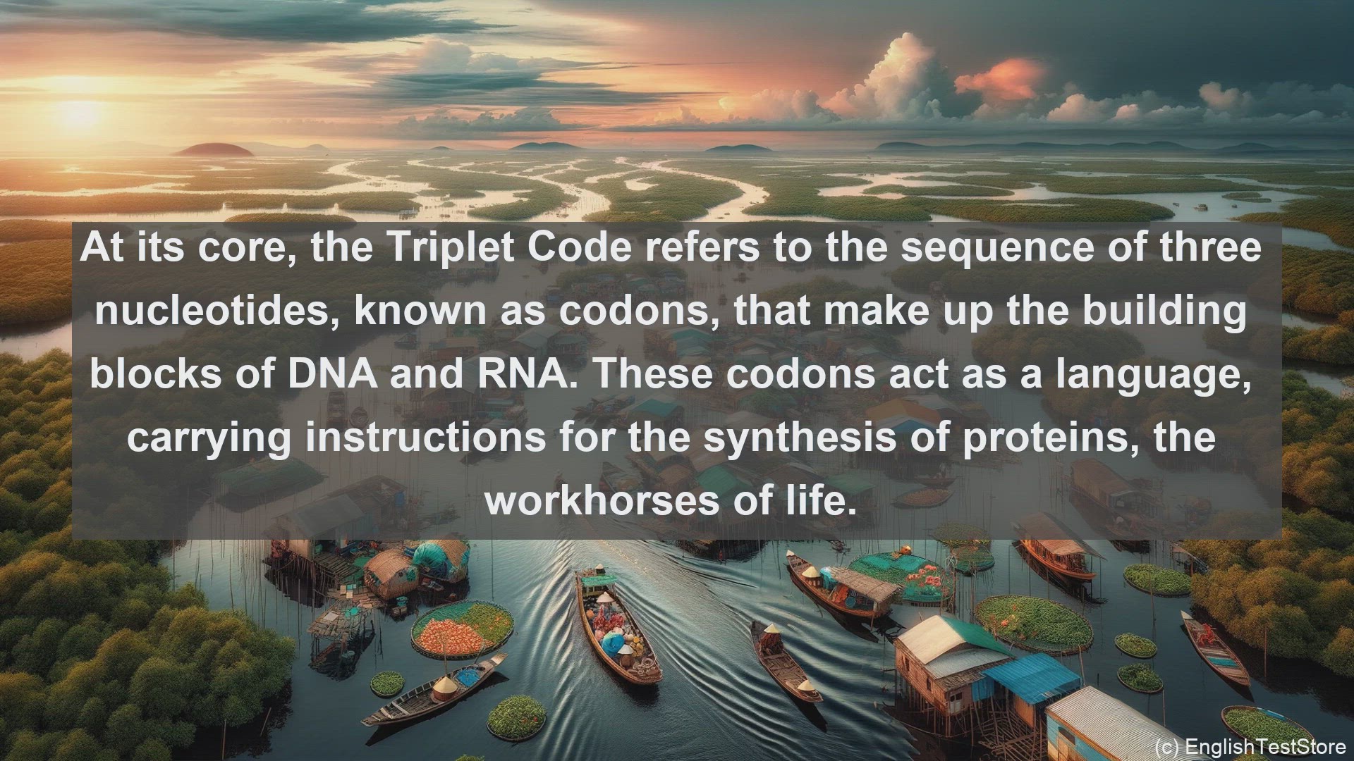 'Video thumbnail for Triplet code in science  definition and examples'