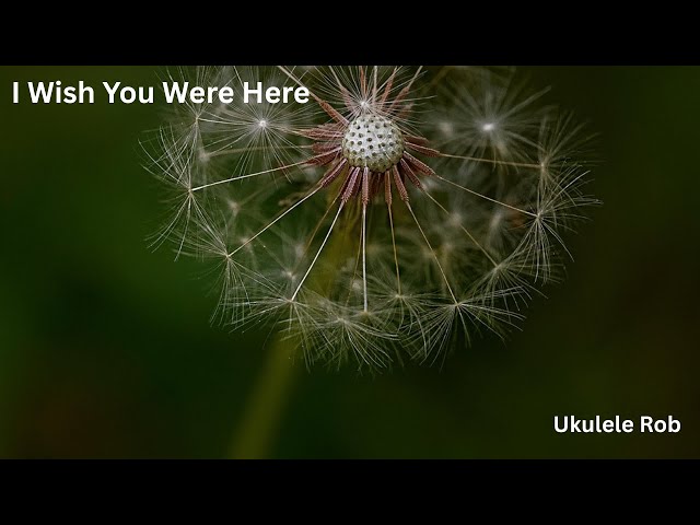 Video thumbnail for I Wish You Were Here [Baritone Ukulele ] cords & lyrics in Description.
