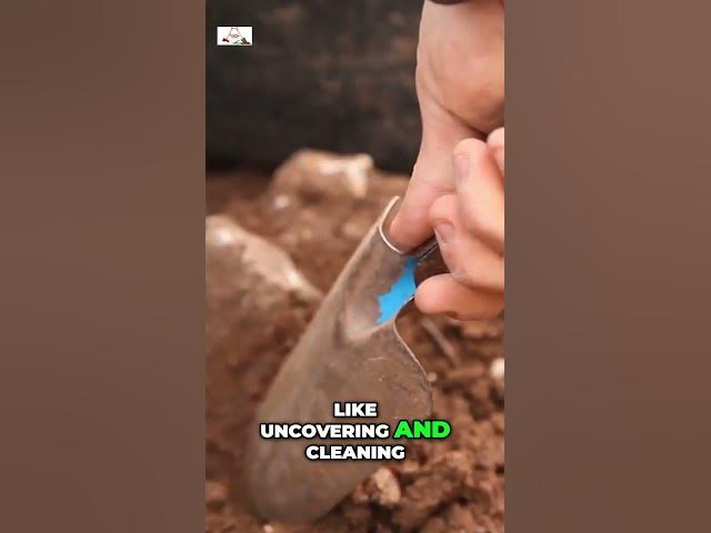 Video thumbnail for Essential Trowels: The Ultimate Tool for Precision Excavation