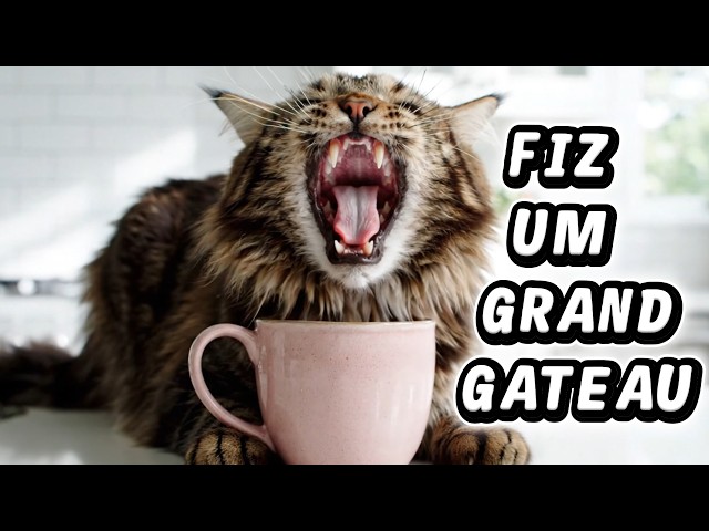 Video thumbnail for Hoje eu fiz um GATO DE CANECA?! (Grand Gateau de Micro-ondas em 1 Minuto)