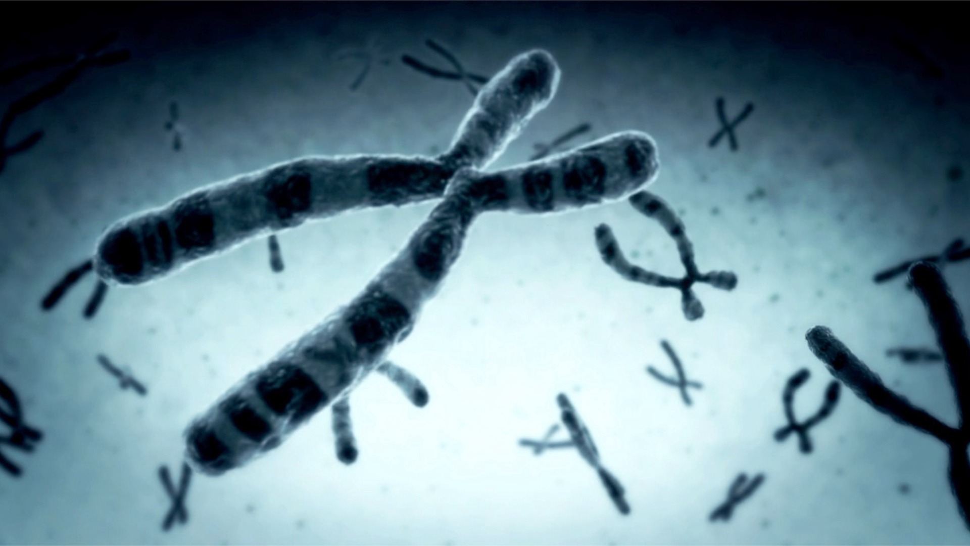 Video thumbnail for Zombie Cells and Aging: What They Do to Our Bodies