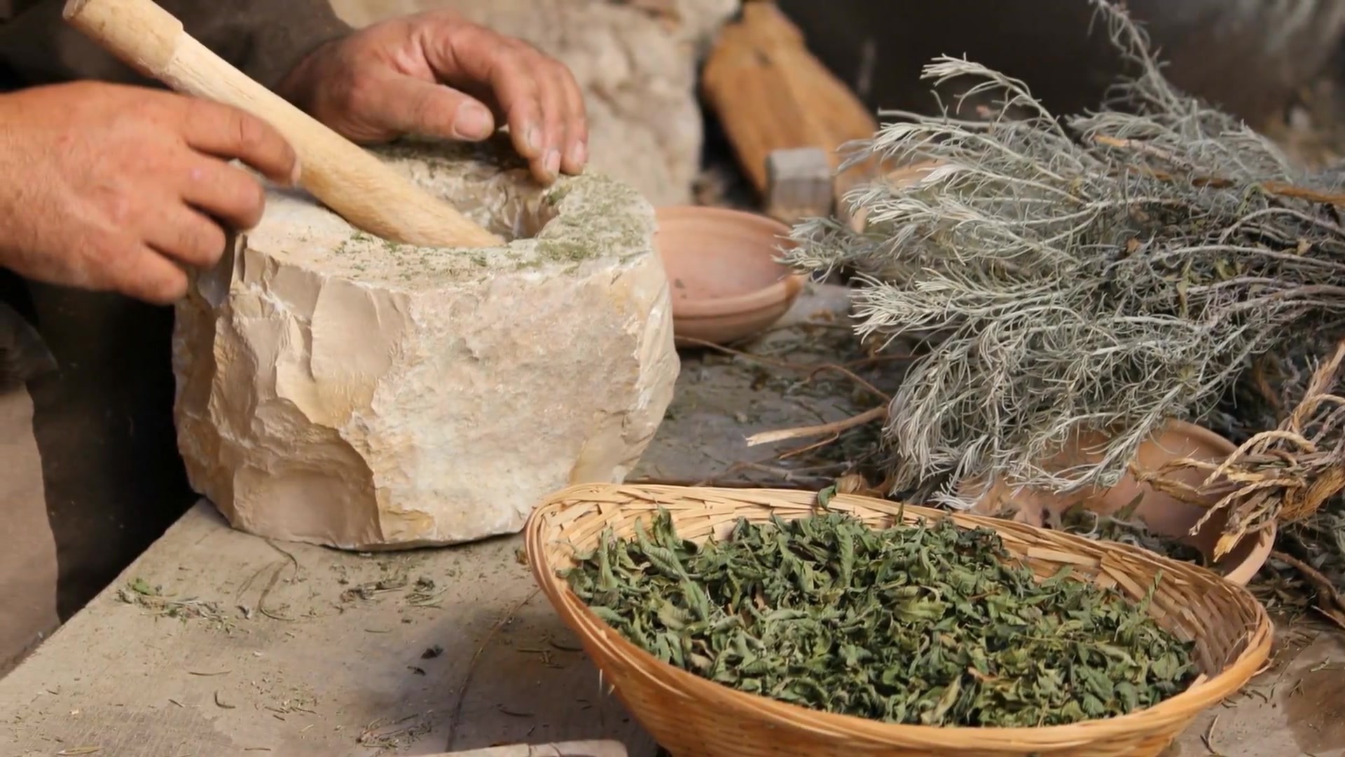 Video thumbnail for Oregano: Ancient Herb with Powerful Health Benefits Beyond the Kitchen