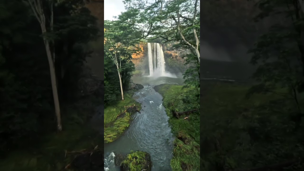 Video thumbnail for If You Had to Pick One Place on Earth to Be a Bird