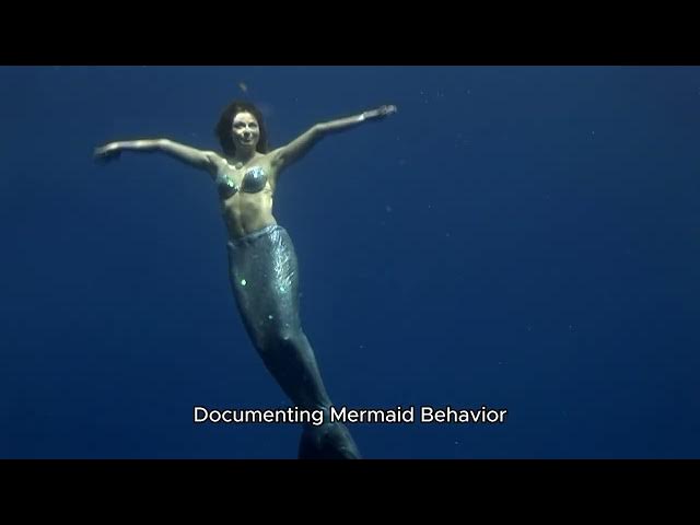 'Video thumbnail for Essential Tools and Equipment for Capturing a Mermaid'