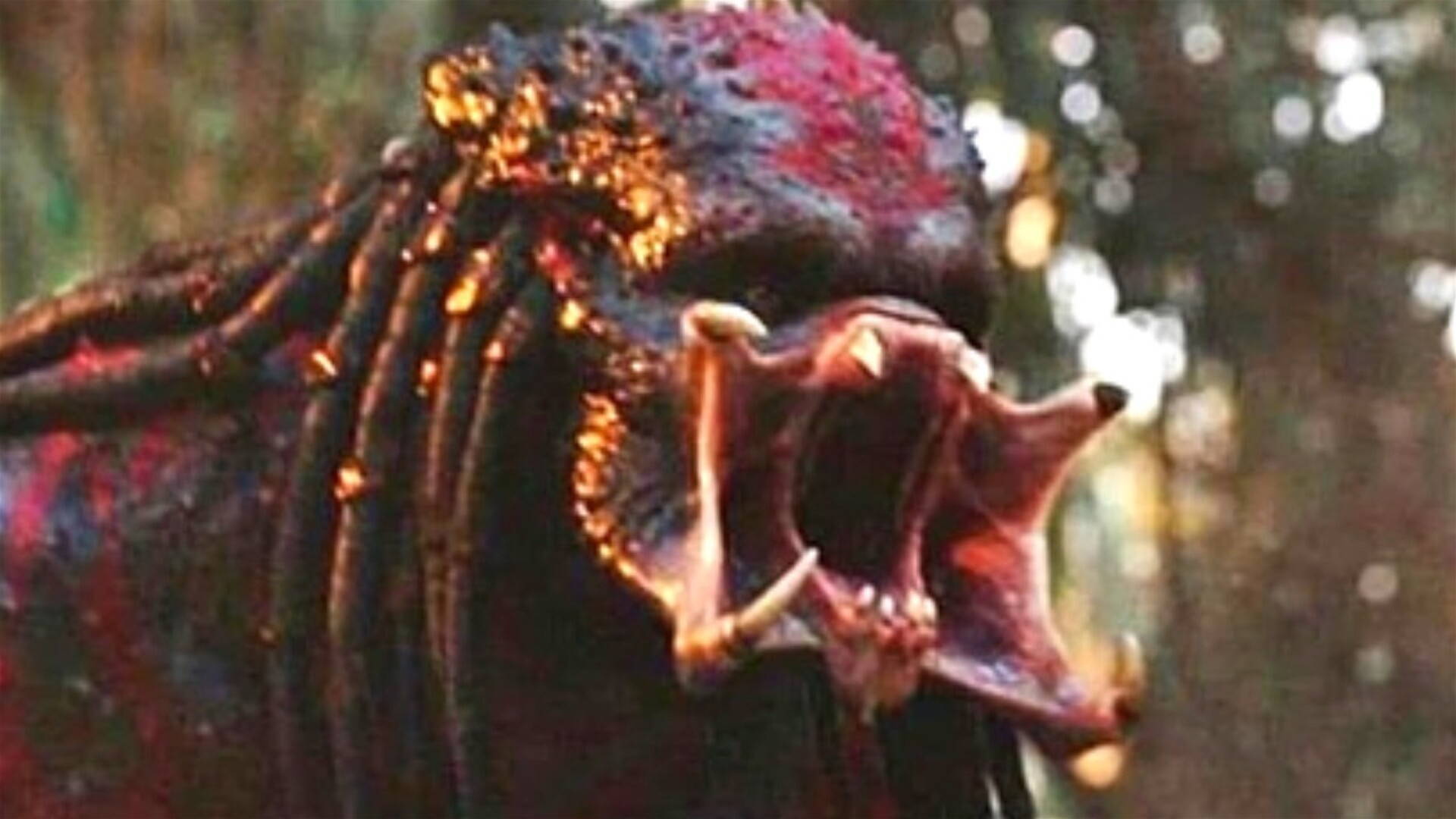 Video thumbnail for False Facts About The Predator You Should Never Believe