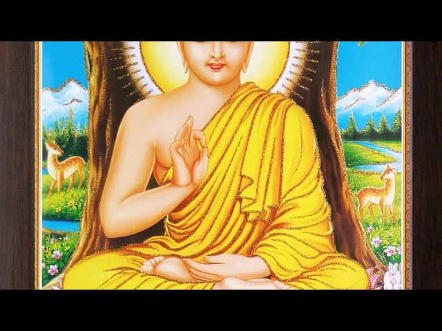 Video thumbnail for The Plastic pollution and how to eradicate it 🌟