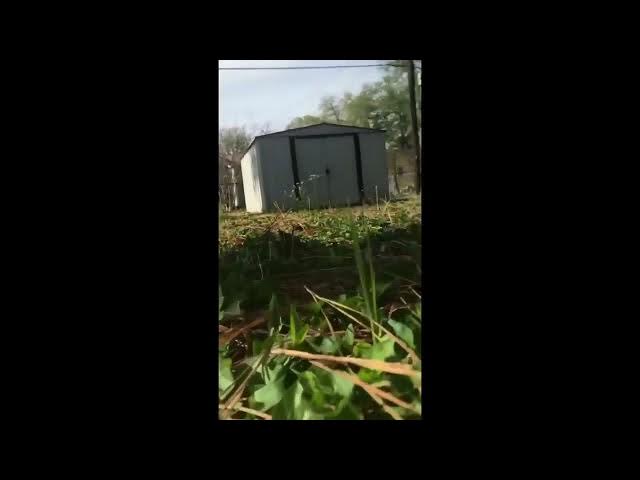 Video thumbnail for A Bee's Eye View