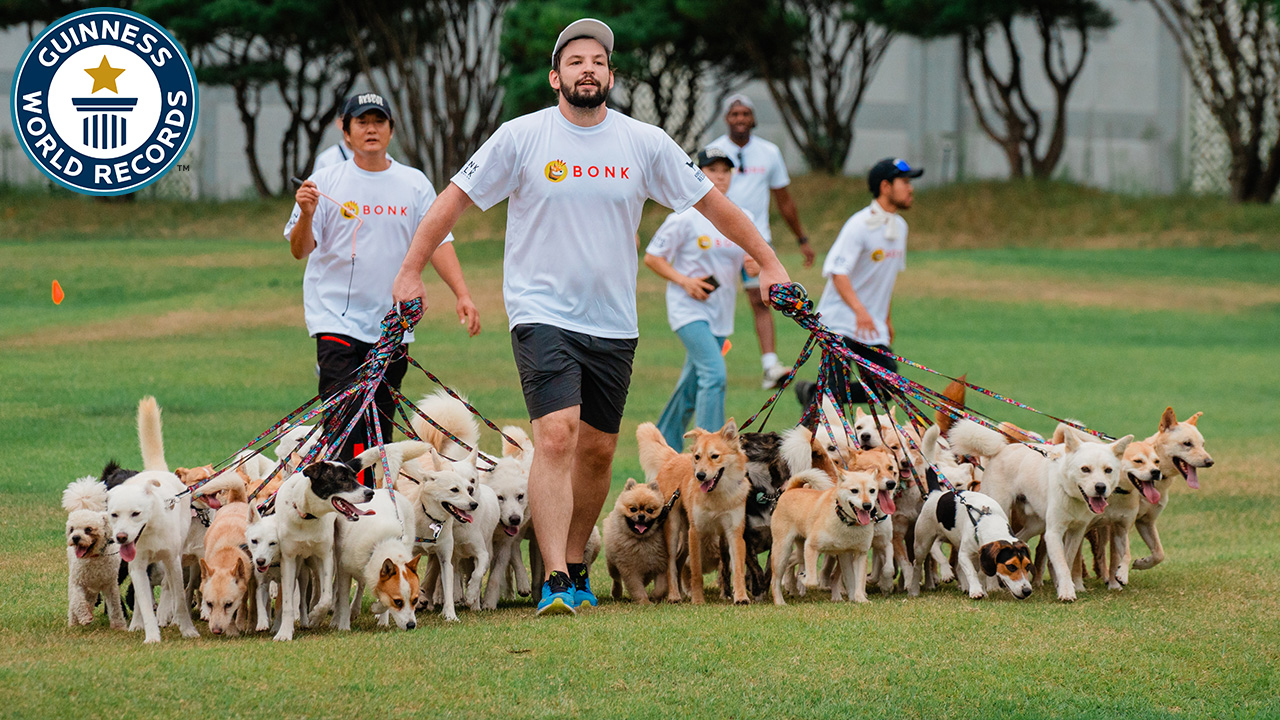 'Video thumbnail for Most dogs walked simultaneously by an individual'
