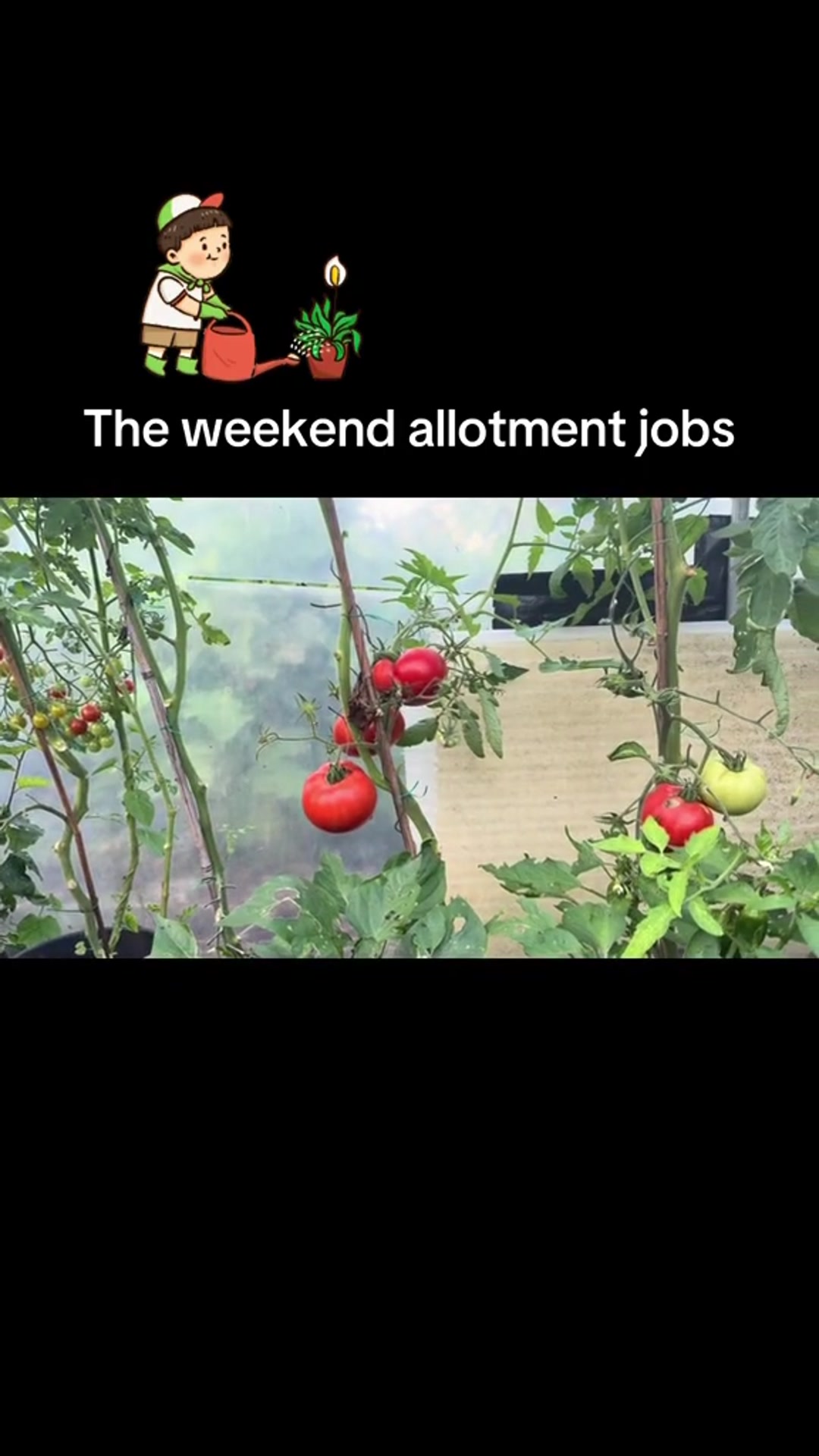 'Video thumbnail for 🌱🛠 Allotment Weekend Jobs | What I’m Doing on the Plot'