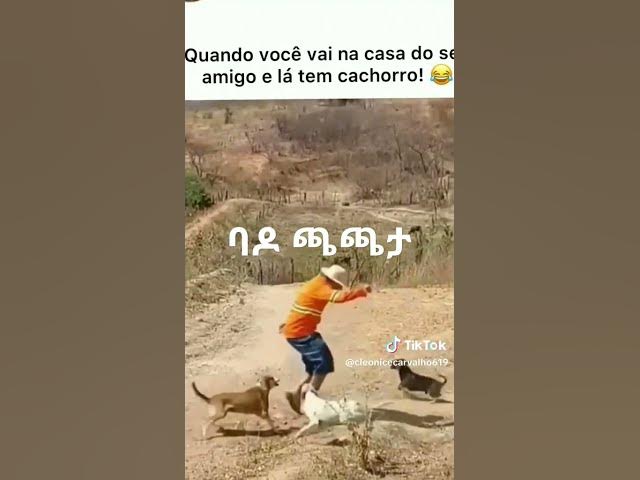 Video thumbnail for ደፋርና ጭስ...