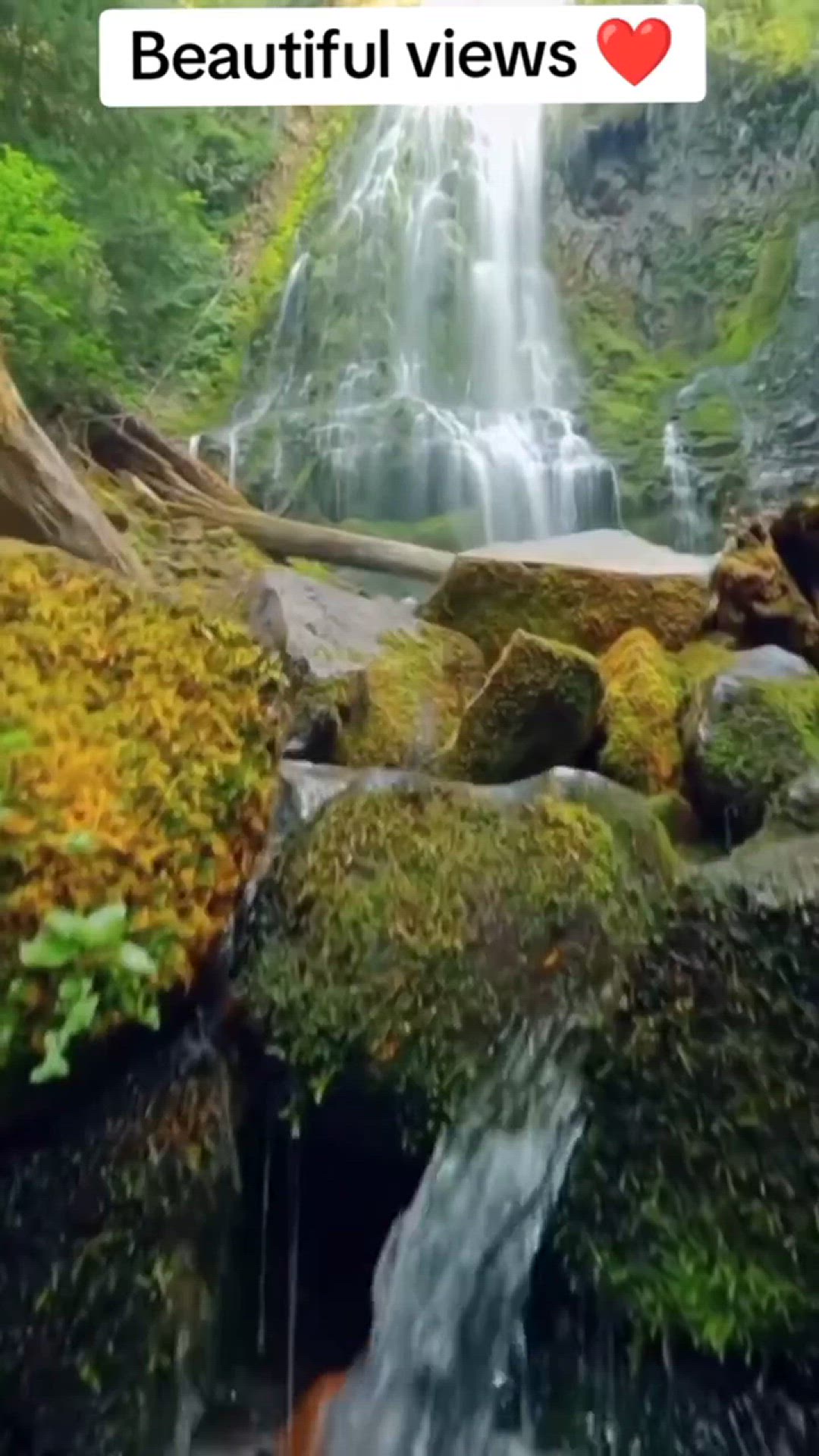 Video thumbnail for trim.D9049485-7072-4E4A-BE60-9062F230454A