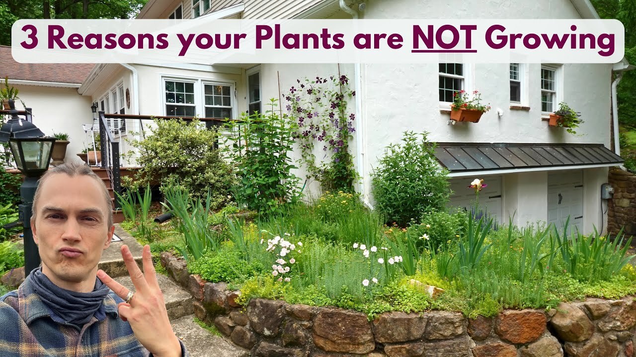 Video thumbnail for Why aren’t My Plants Growing? 3 Reasons Why