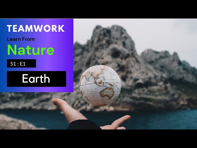 Video thumbnail for Teamwork | Learn from Nature | S1E1 | Earth Element