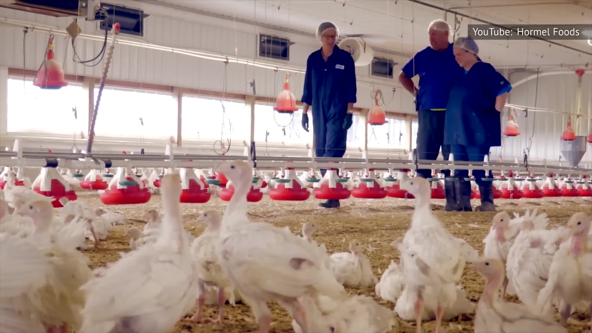 Video thumbnail for Turkey Bacon Brands Ranked From Worst To Best