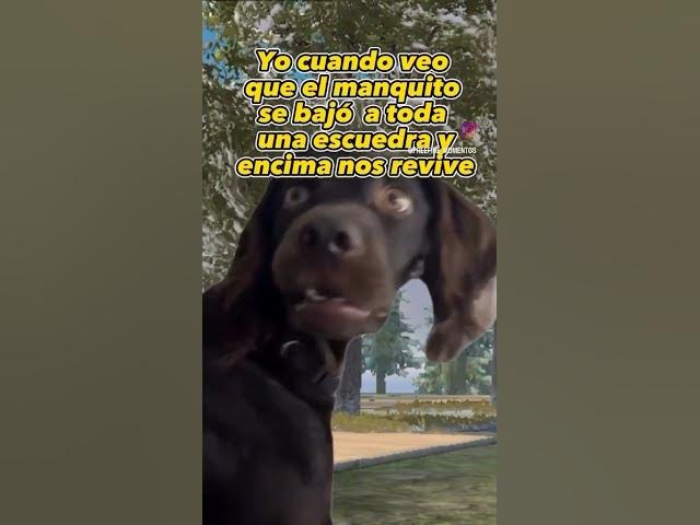 Video thumbnail for POV:Etiquetalo 🤣#funny #comedyfilms #humor  #comedyvideo #warzone  #viral  #fyp #parati #fypシ