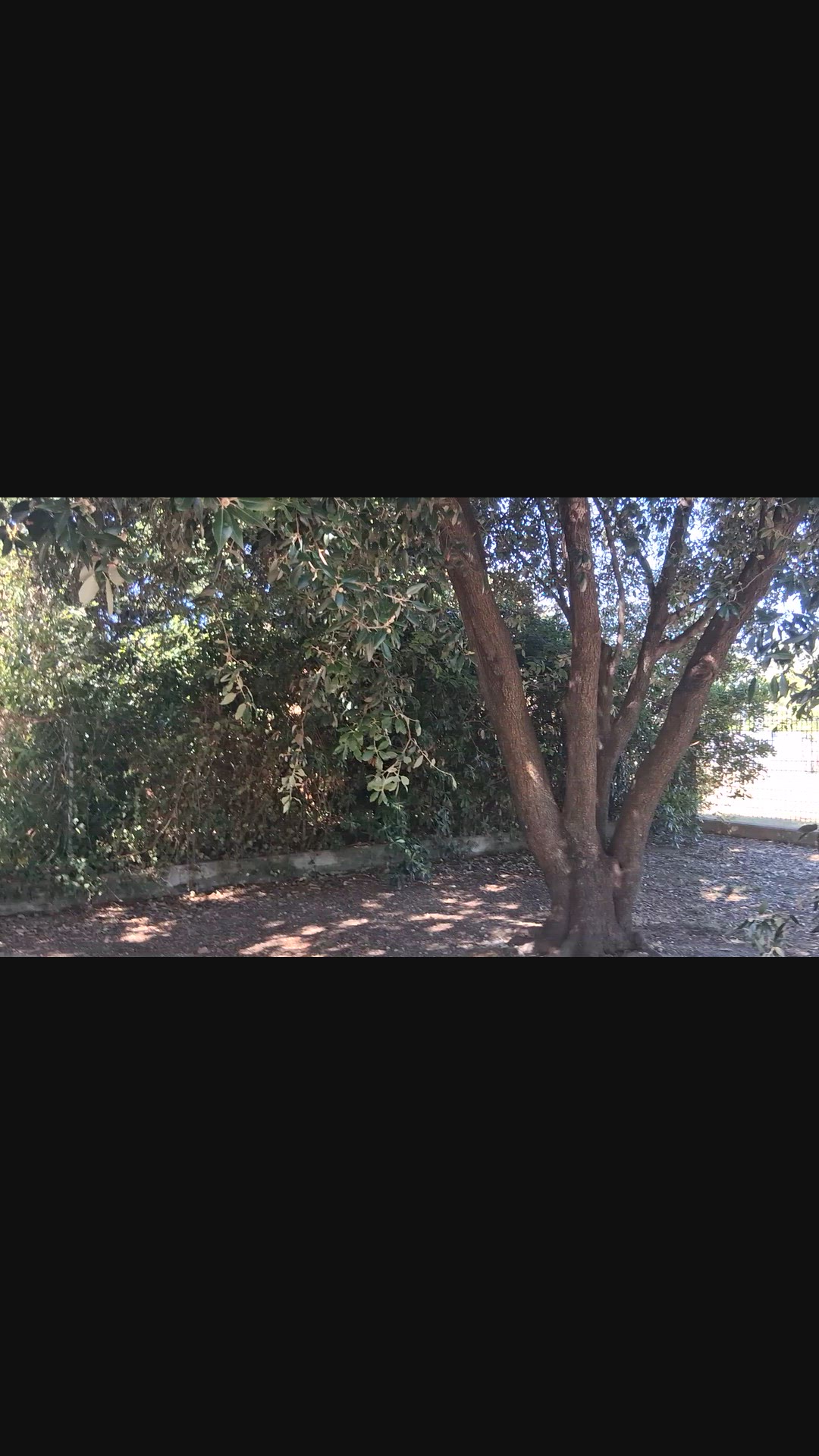 Video thumbnail for 1000009504.mp4