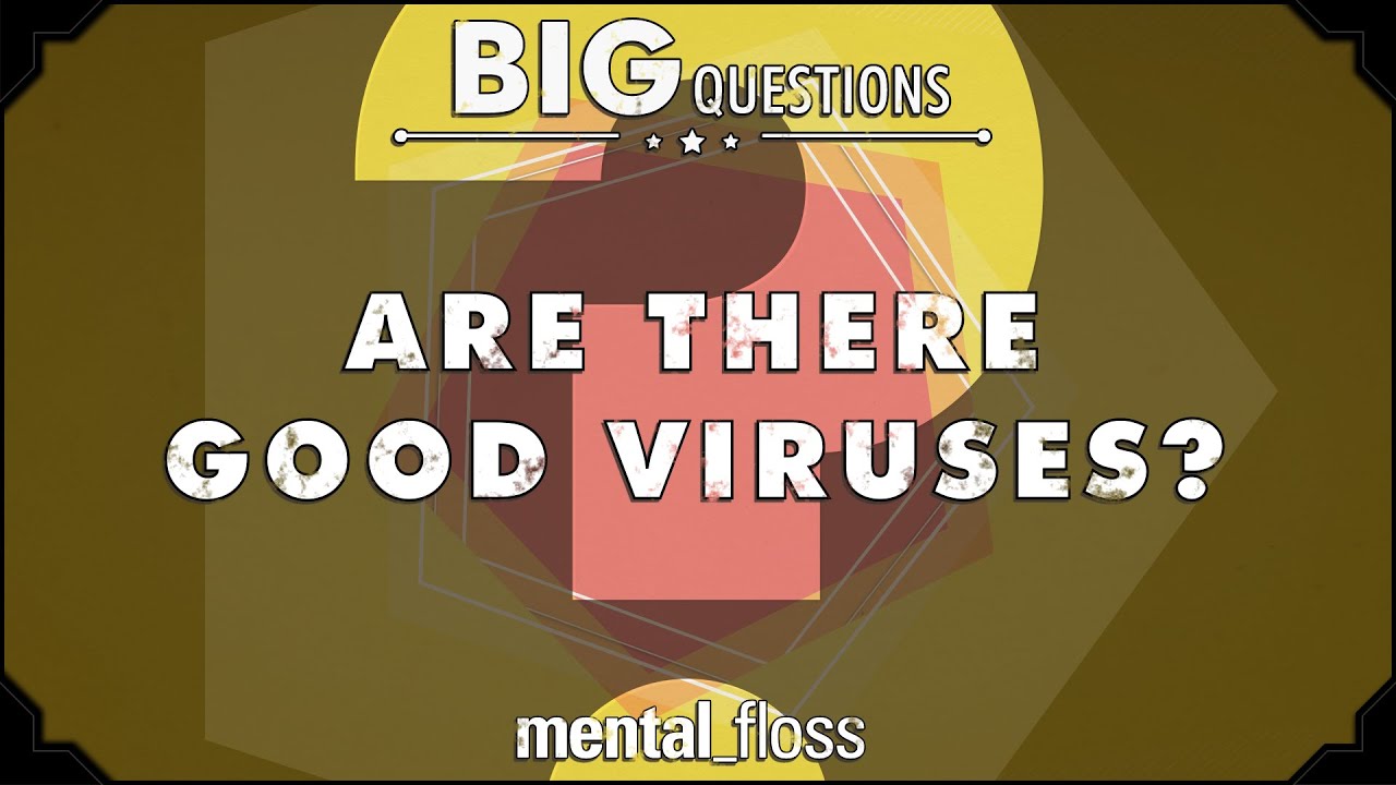 Video thumbnail for Are there good viruses? - Big Questions - (Ep. 204) | Mental Floss