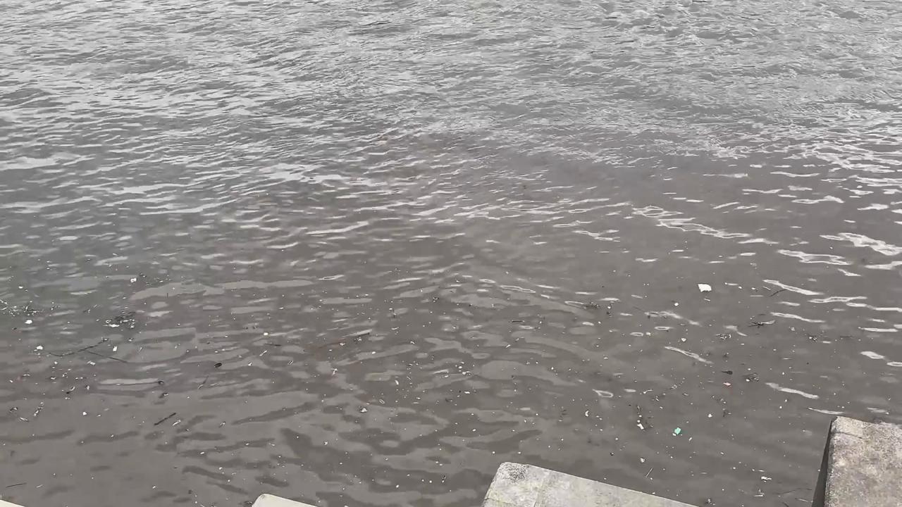 Video thumbnail for UK: Footage captures UK’s iconic Thames River with brown color.