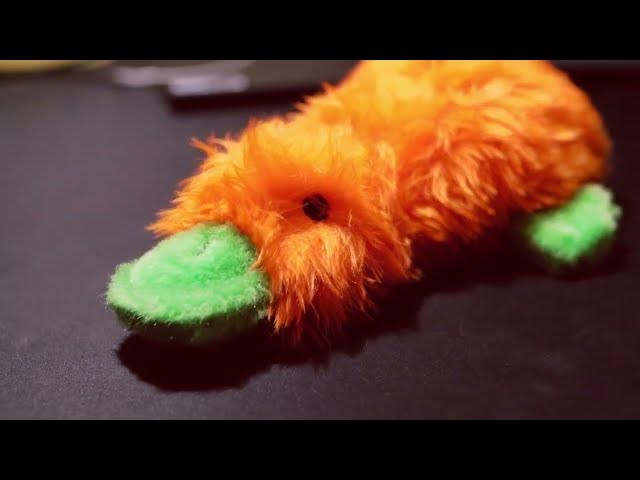 Video thumbnail for Multipet Duckworth Plush Dog Toy: Your Pup's New Best Friend