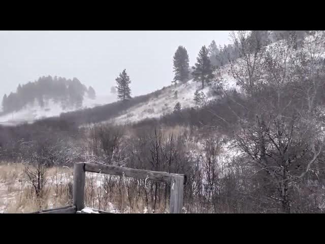 Video thumbnail for ❄ ❄ SNOWING 🌨  ❄ ❄