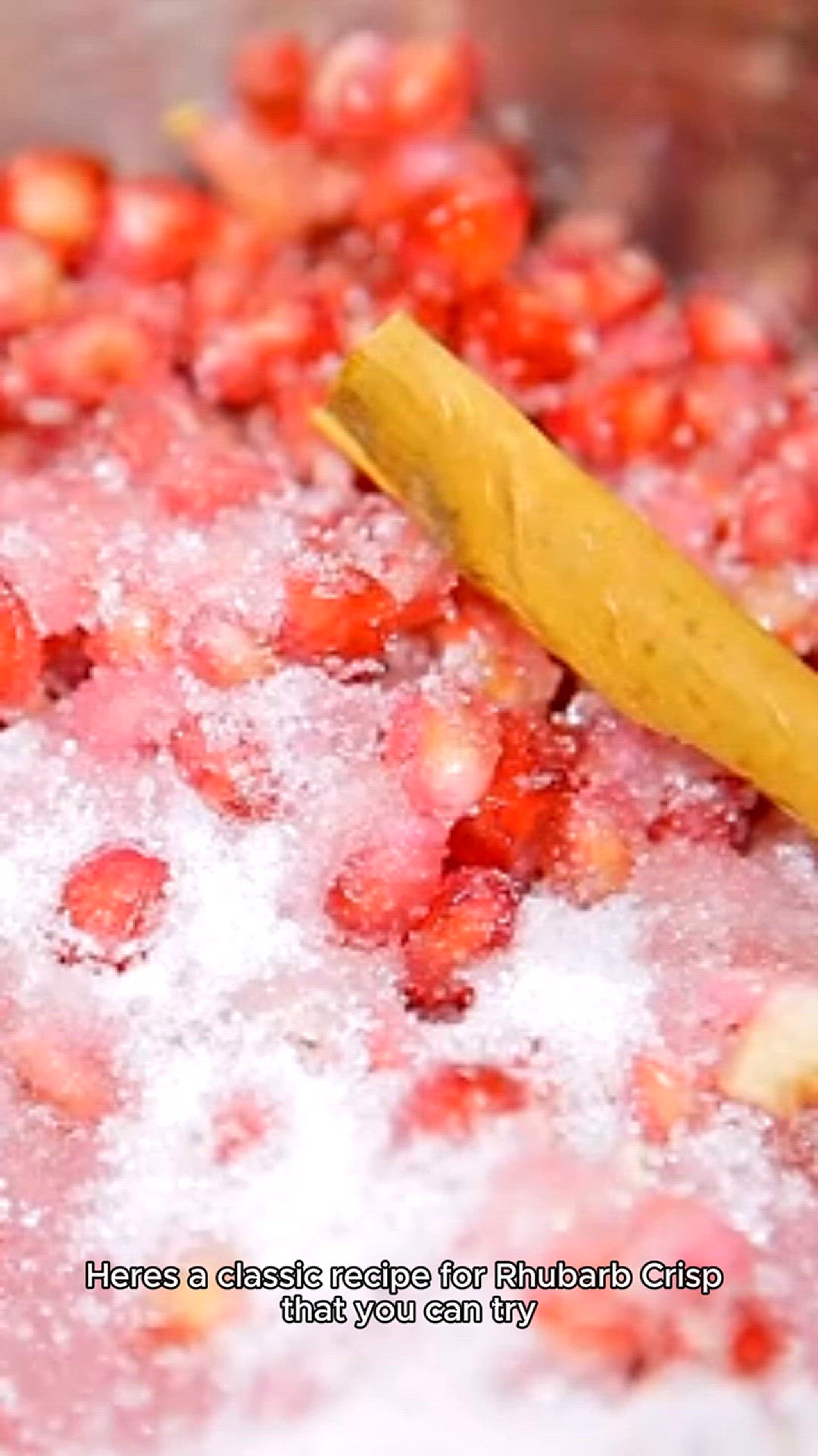 Video thumbnail for rhubarb recipe