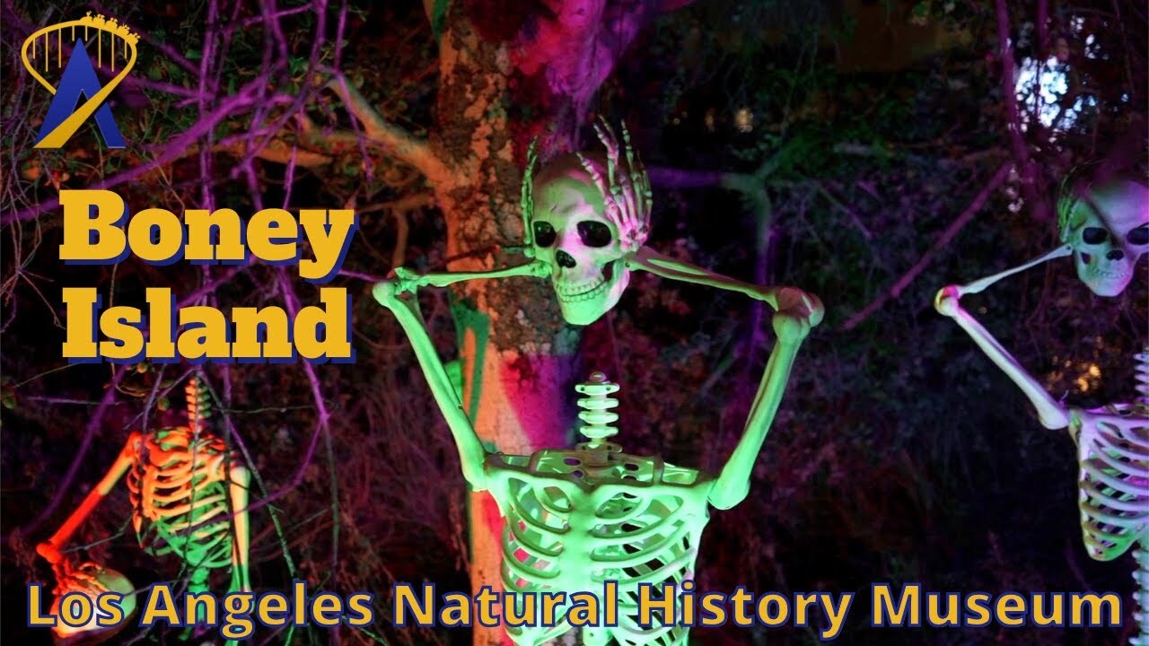 Video thumbnail for Boney Island Halloween Event at Natural History Museum 2023