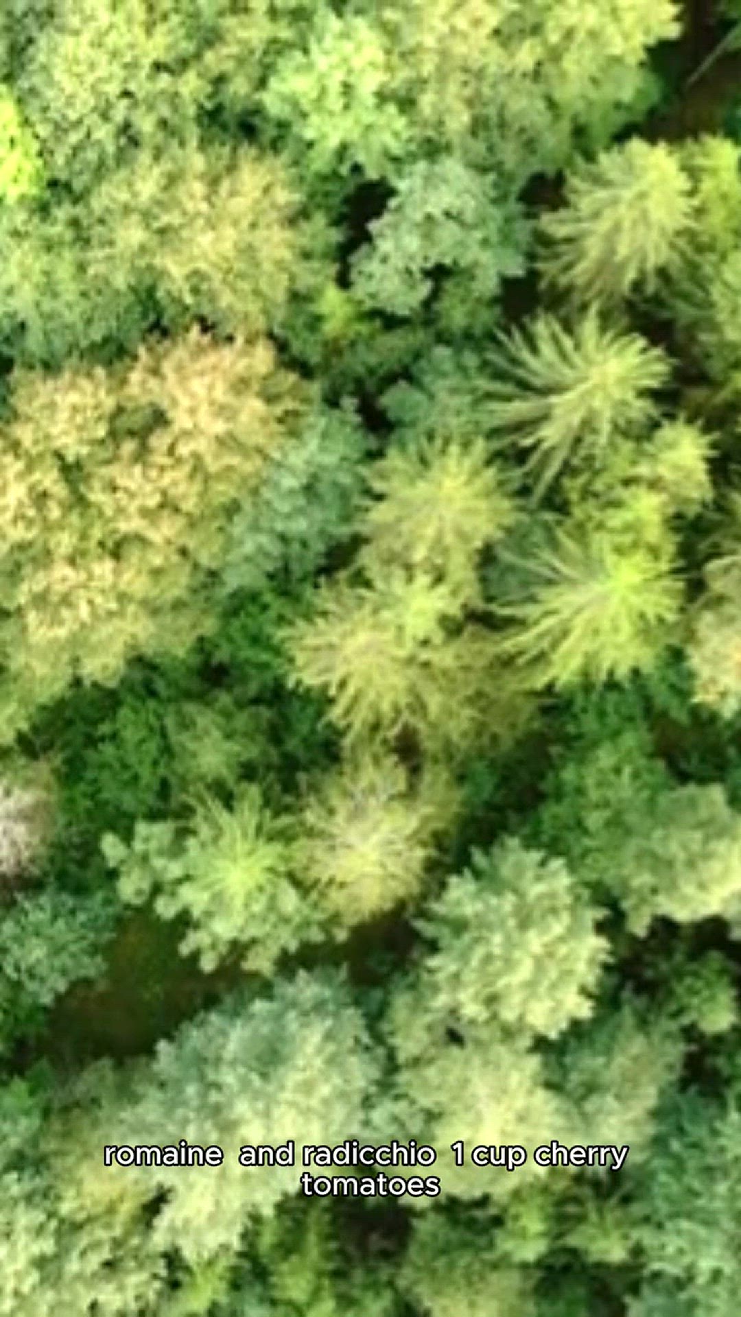 Video thumbnail for italian salad recipe