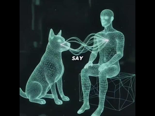 Video thumbnail for According to psychology, dogs don't just live with us, they feel us.