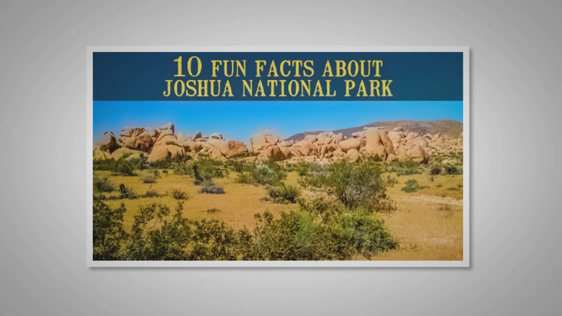 'Video thumbnail for 10 Fun Facts about Joshua Tree National Park'