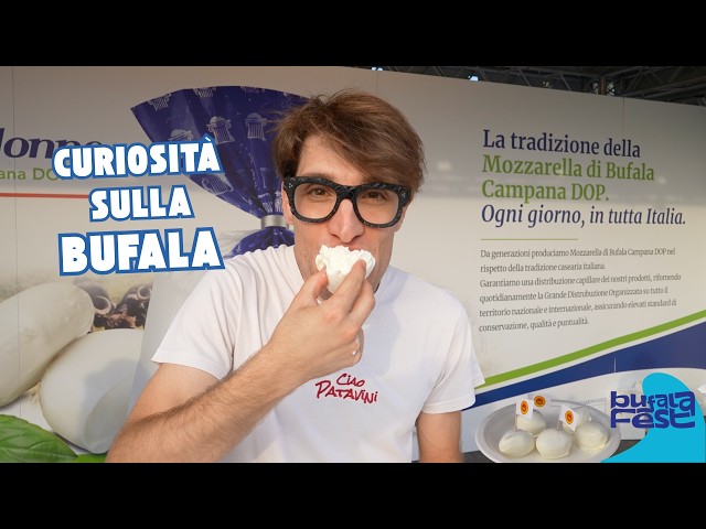 Video thumbnail for Il festival della mozzarella di bufala tra gusto, territorio e cucina campana | Bufala Fest 🐃