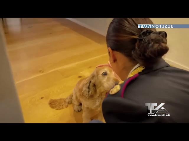 Video thumbnail for “Non tradire l’amico a 4 zampe”. Spot della Polizia di Stato contro l’abbandono degli animali nel pe
