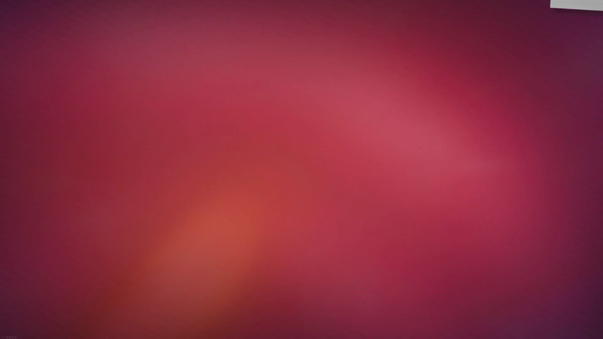 Video thumbnail for Sonnenblumen wird braun – Was tun?