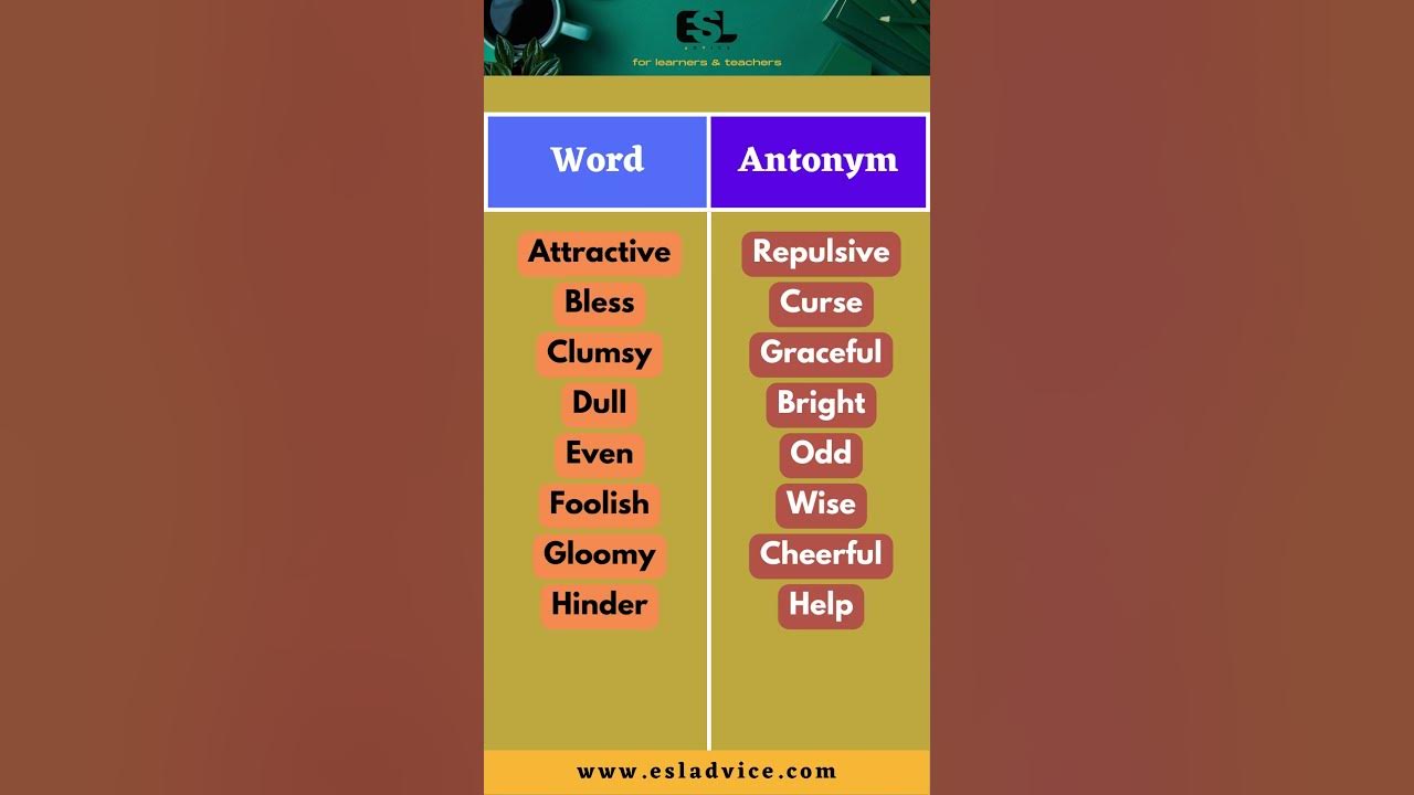 'Video thumbnail for Did You Know These Antonyms   Part 7  ESL Advice'
