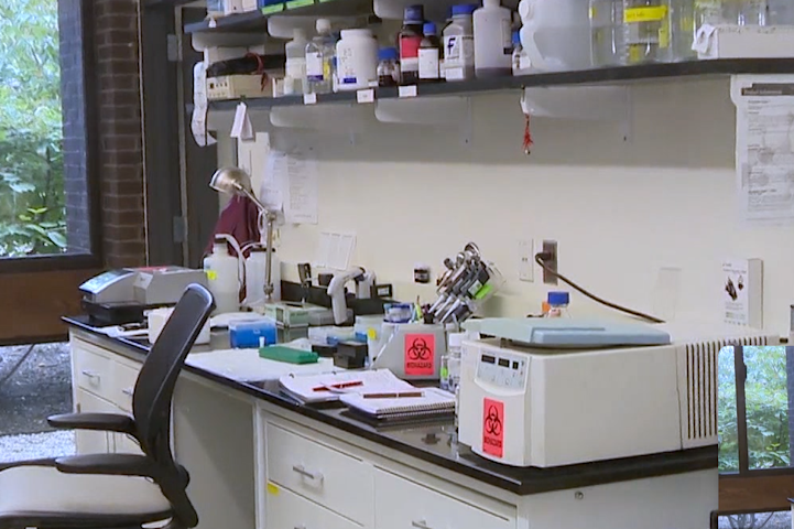 Video thumbnail for Proposed NIH overhaul sparks warnings about risks to medical research and public health