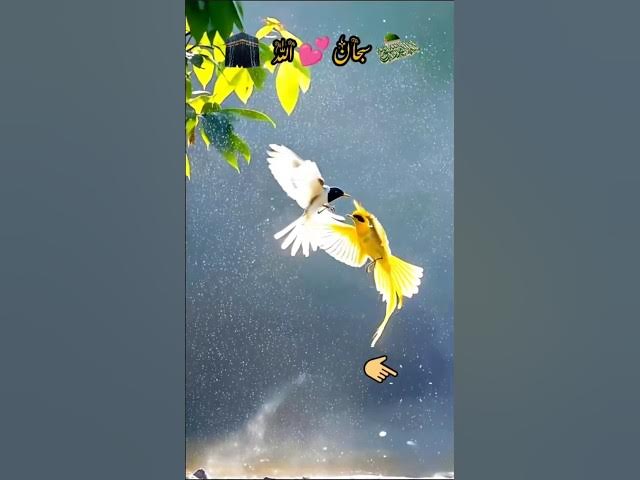 Video thumbnail for #familychannel #rainvlog #familyvideo #trending #funny #lifeisbutadream #familyvlog #comedy