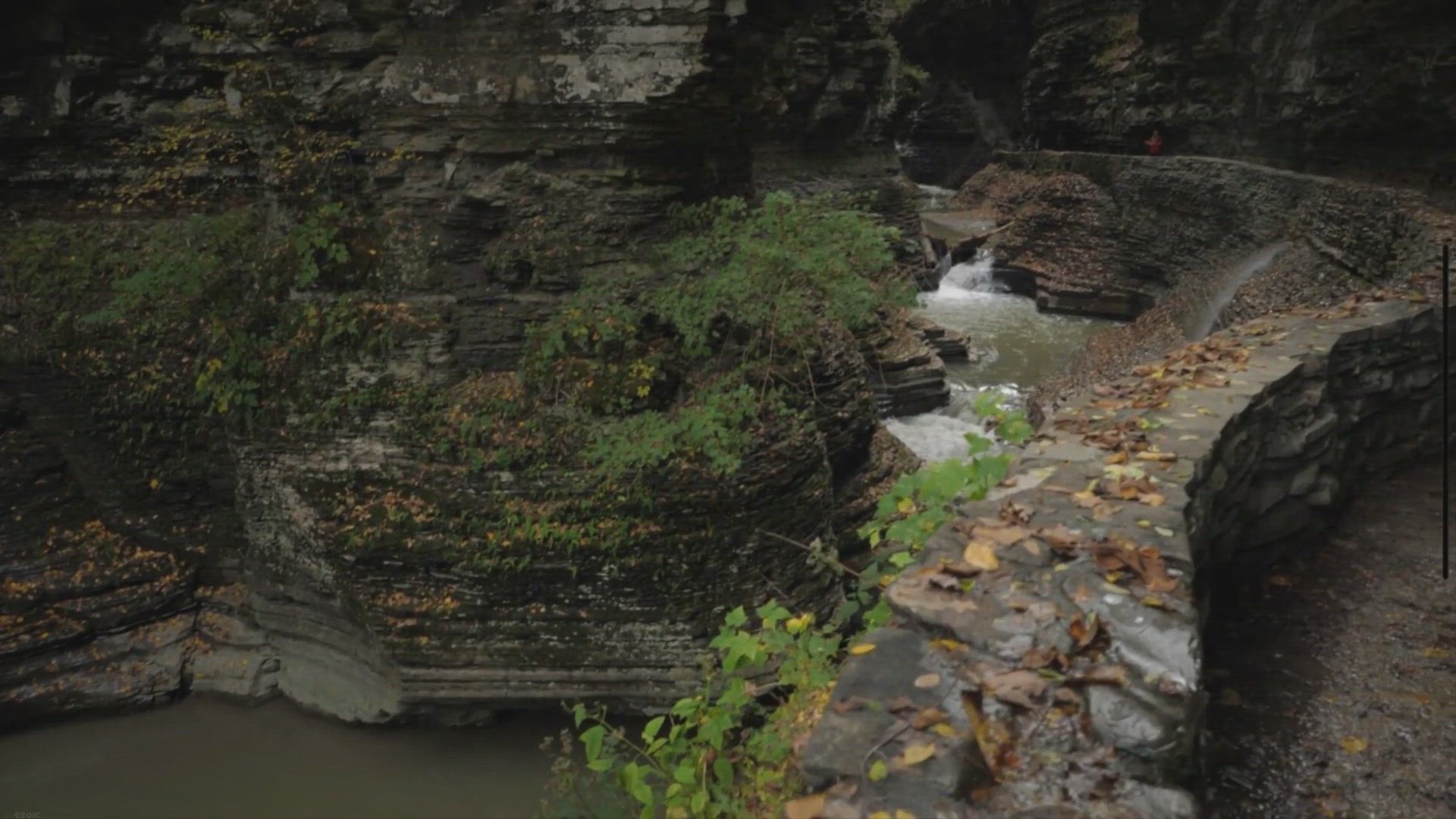 'Video thumbnail for Discovering the Hidden Gems of Wisconsin: A Guide to Hiking Hidden Lakes Trail'