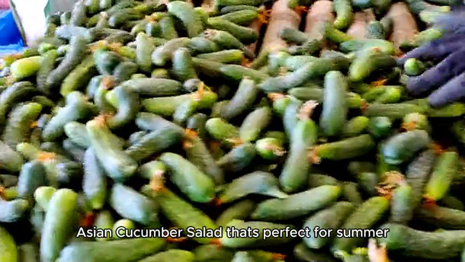 'Video thumbnail for Asian Cucumber Salad buggy recipe'